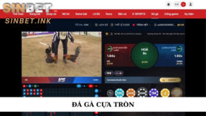 ĐÁ GÀ CỰA TRÒN